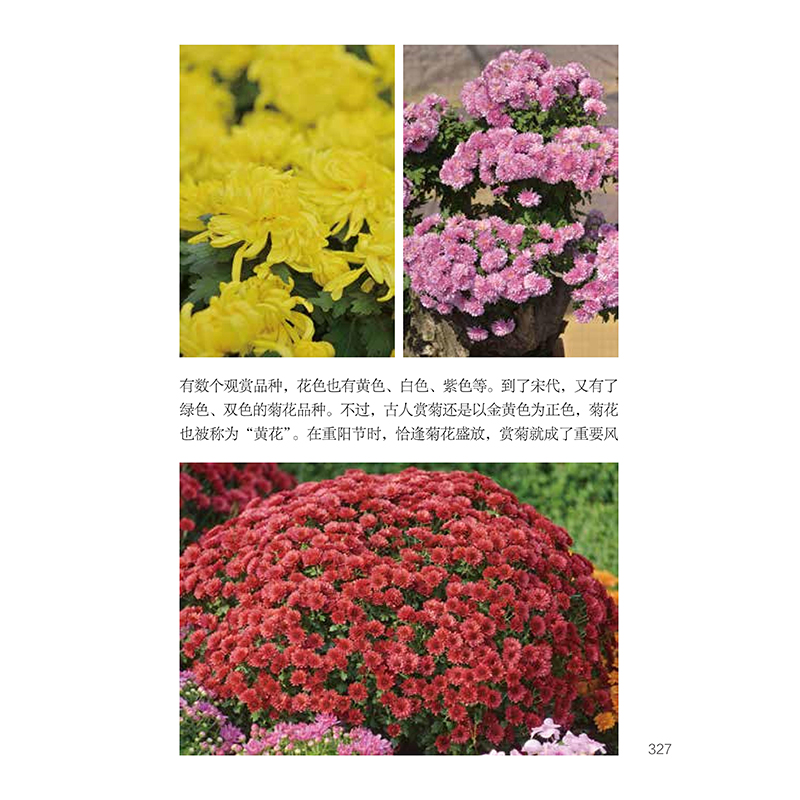 北京自然观察手册 园林花卉高清大图