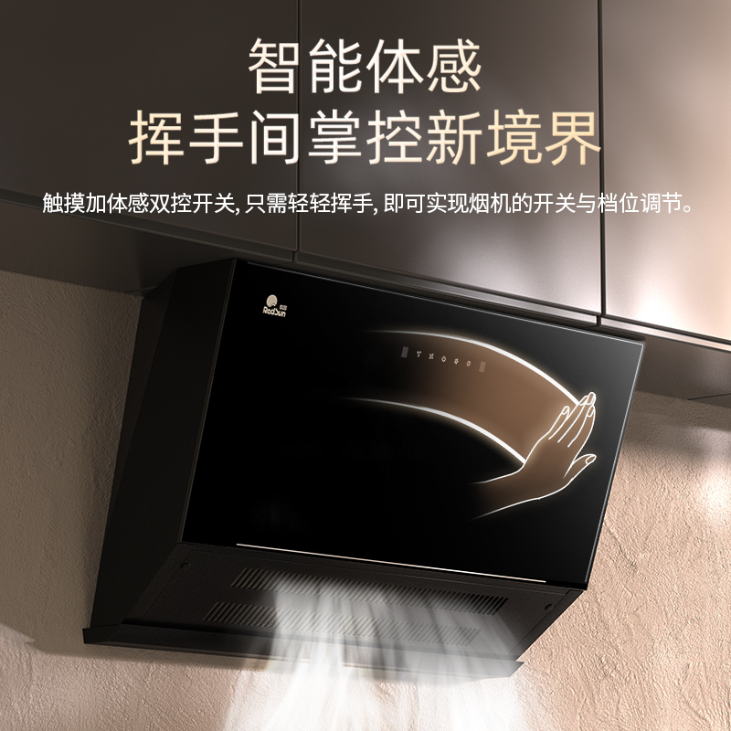 红日(RedSun)烟灶套装家用油烟机超薄近吸抽油烟机红外灶节能大线定时火力高热效灶 JED25H+TEM608B天然气