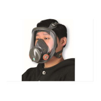 3M 6900面具,大号