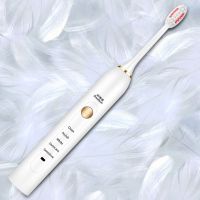 荣事达电动牙刷家用软细毛充电式超声波防水美白全自动女简约白电池款(1刷头+1节电池+1档位)