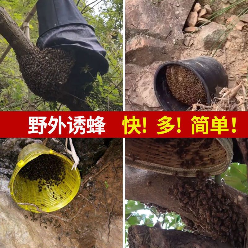 竹编收蜂笼[送王笼] 收蜂笼竹招蜂笼野外收蜂群专用收蜂袋罩引蜂笼蜜蜂分蜂笼养蜂工具
