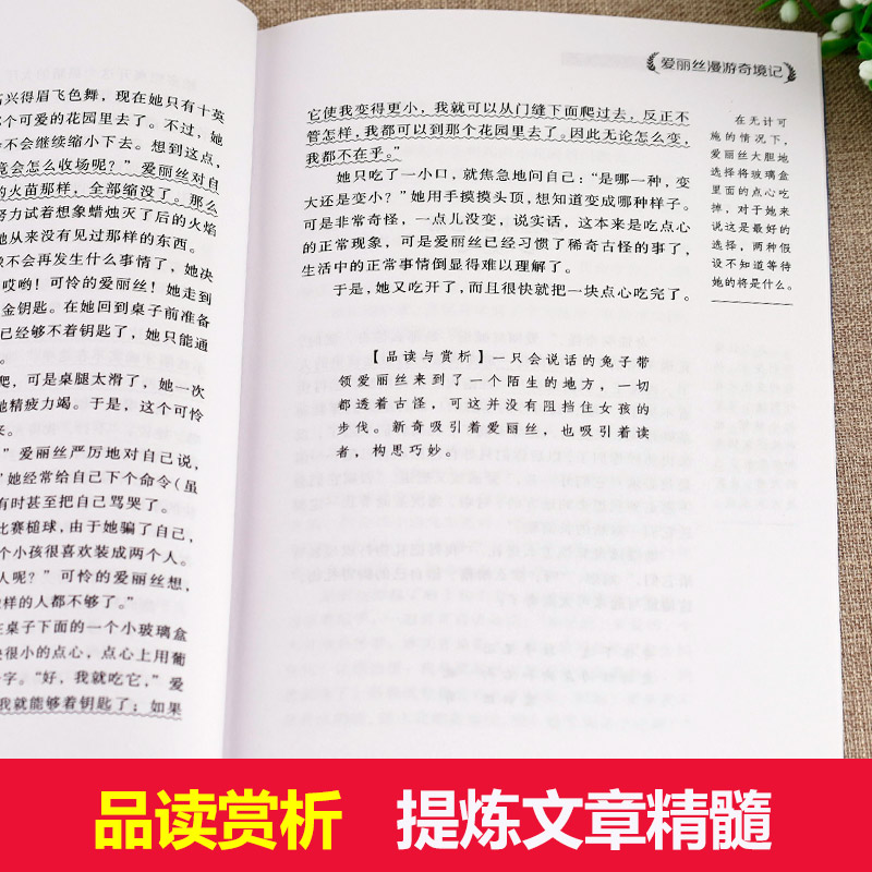 [正版]爱丽丝漫游奇境 六年级老师 爱丽丝漫游奇境记原著书下必读课外书 爱丽丝梦游仙境下册 课外阅读书籍高清大图