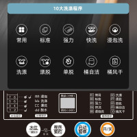 志高(CHIGO) 4.8KG洗衣机 全自动家用小型大容量波轮宿舍迷你租房洗脱一体 蓝光洗衣