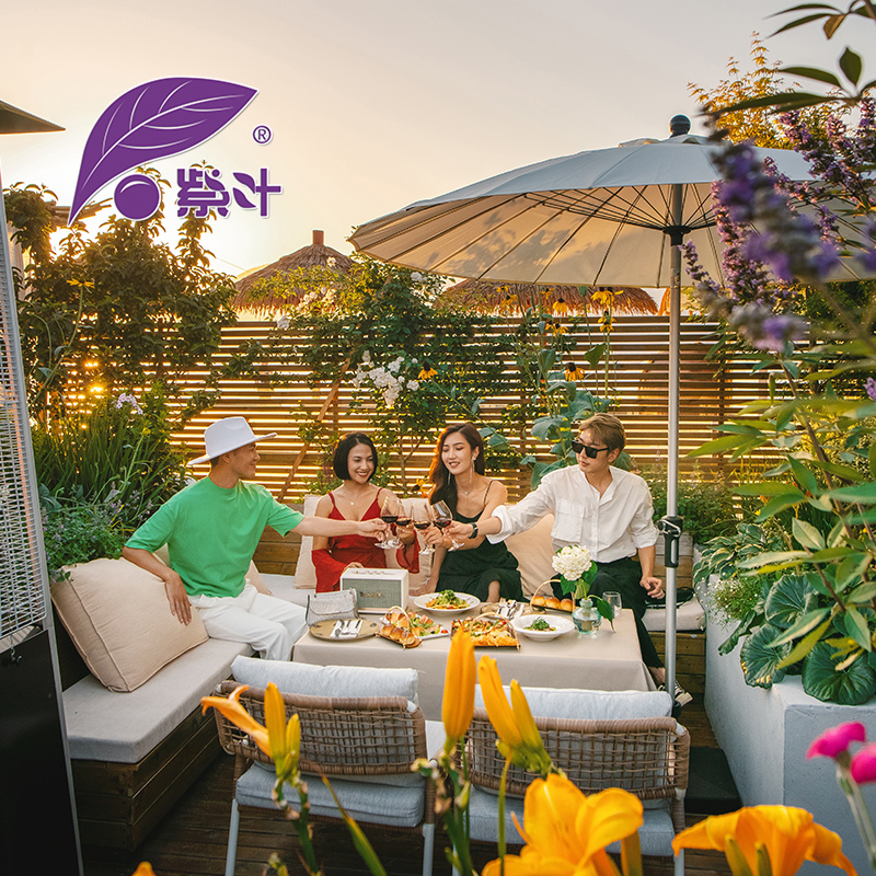 紫叶户外伞中柱伞室外太阳伞露营伞庭院休闲伞民宿花园阳台遮阳伞高清大图