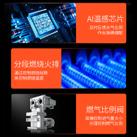 奥克斯(AUX)燃气热水器JSQ30-DAL65即热式家用零冷水16升天然气智能变频恒温强排式速热低压启动