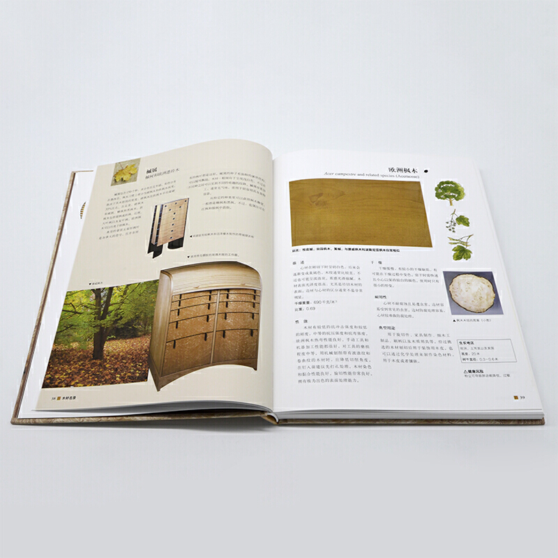 [正版] 识木 全球220种木材图鉴木材百科全书木材及手工爱好者木材性能安全性缺陷潜在危险干燥性耐用性用途林业工作人员高清大图