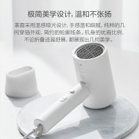 [官方旗舰店]米家 小米电吹风机家用吹风筒 负离子护发 大功率速干 低噪设计 便携可折叠 H100