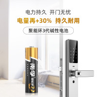 南孚碱性电池1号大号2号二号9V方形9号AAAA5号五号收音机电池大全 1号2粒装