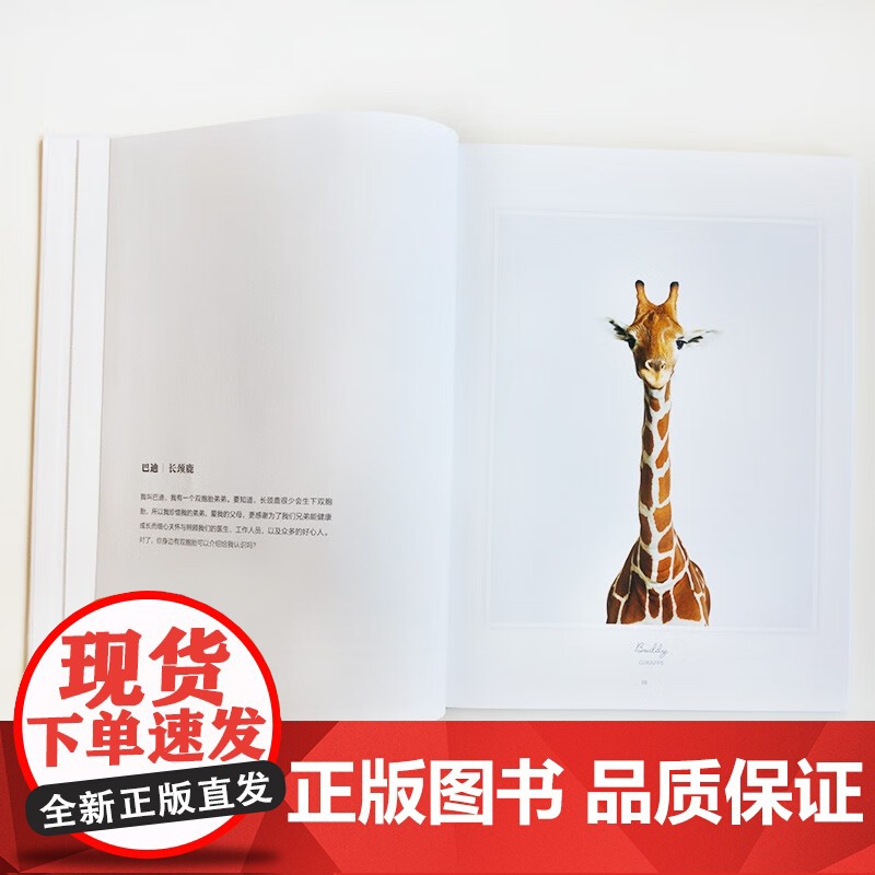 [央视网]我的动物萌友 9787514388589 现代出版社 XD高清大图