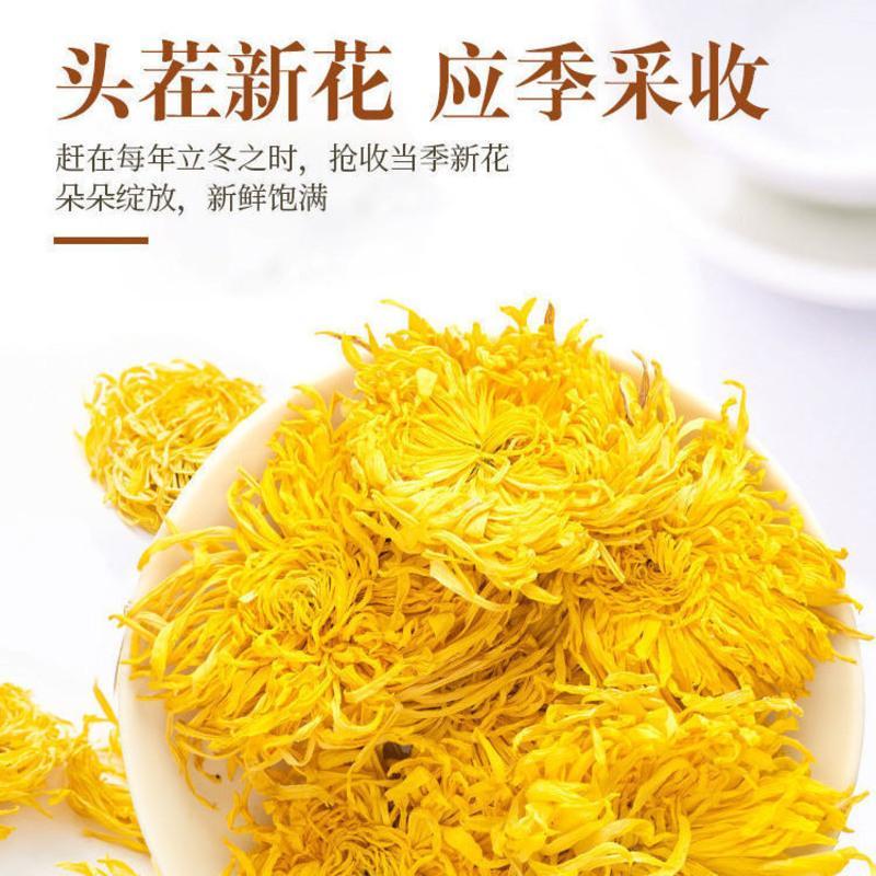金丝皇菊1罐[约50朵] 菊花茶菊花金丝皇菊黄菊茶叶花茶贡菊胎菊大朵菊花茶批发