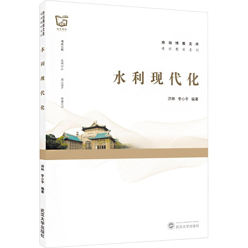 [M]水利现代化-9787307238077高清大图