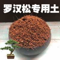 罗汉松土罗汉松专用土酸性沙质种植土盆景盆栽营养土花泥绿植肥料