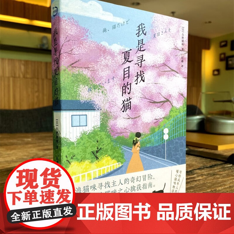 我是寻找夏目的猫 青鲤文库 白野猫咪 著 小说高清大图