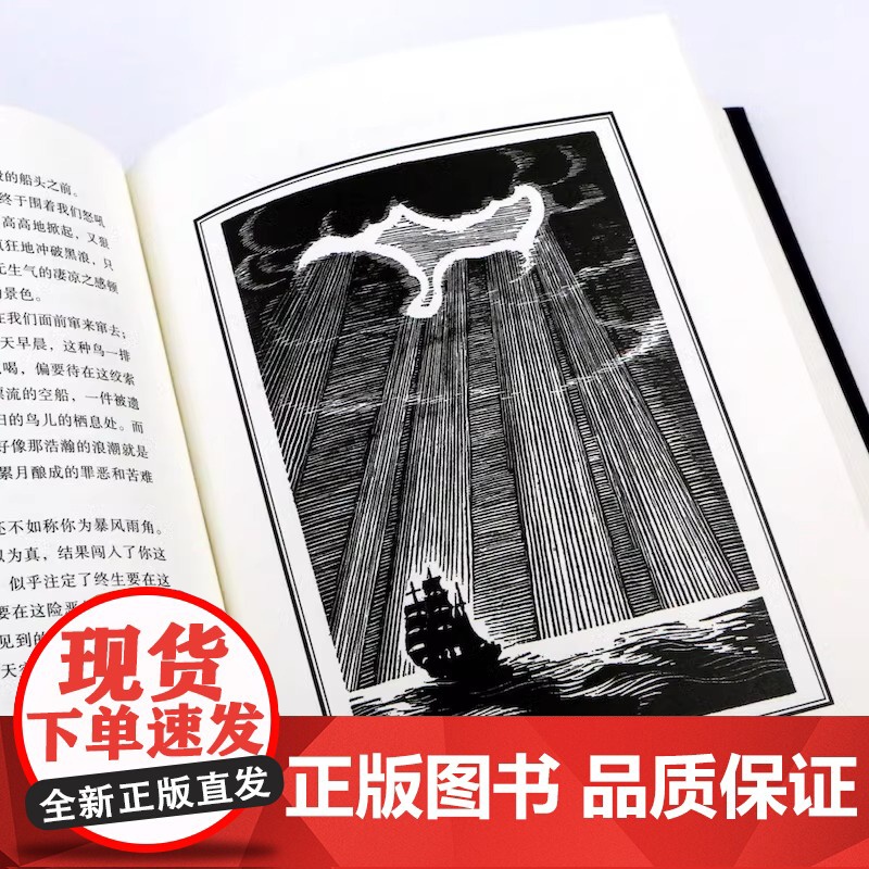 [央视网]正版 白鲸 环衬烫银精装版 罗山川译本 世界名著海洋冒险故事长篇小说 外国文学书籍HL高清大图
