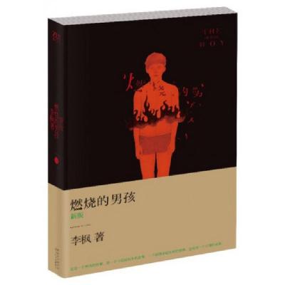 11燃烧的男孩(新版)978753546626622