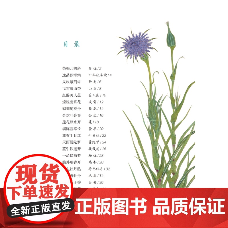 花开不记年/草木闲趣书系 草色入帘青书 徐红燕博物学全彩印刷花卉普及读物毛利梅园梅园草木花谱 上海科技教育出版社高清大图