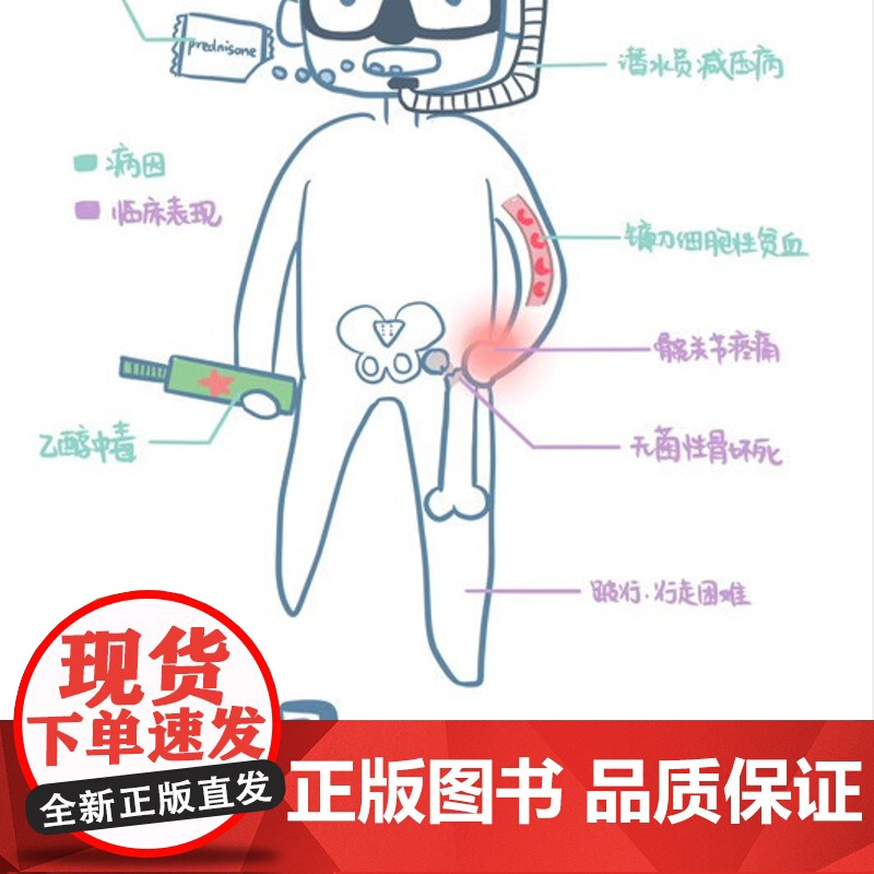 “菲”常好记医学生漫画笔记学 医全新方法 不枯燥 容易记 76个高频考点58个洗脑式口诀高清大图