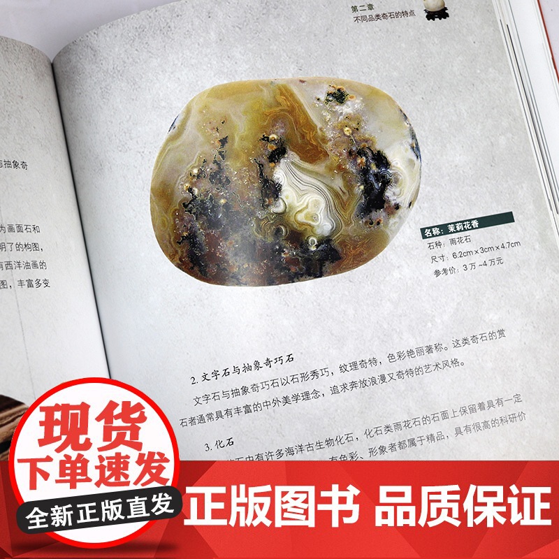 中国珍藏镜鉴书系:奇石收藏品鉴 石头鉴赏收藏珍藏艺术爱好入门指南零基础玩收藏古玩古董鉴别鉴定书籍高清大图