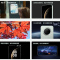[全新]华为Mate70 云杉绿 12GB+512GB 鸿蒙NEXT先锋版 66W快充 超清影像 鸿蒙OS 120Hz二