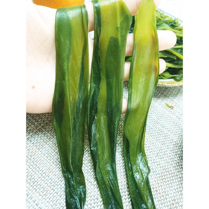 博多客 海带苗2斤 霞浦新鲜凉拌菜嫩海带芽海带薄嫩三秒火锅食材图片