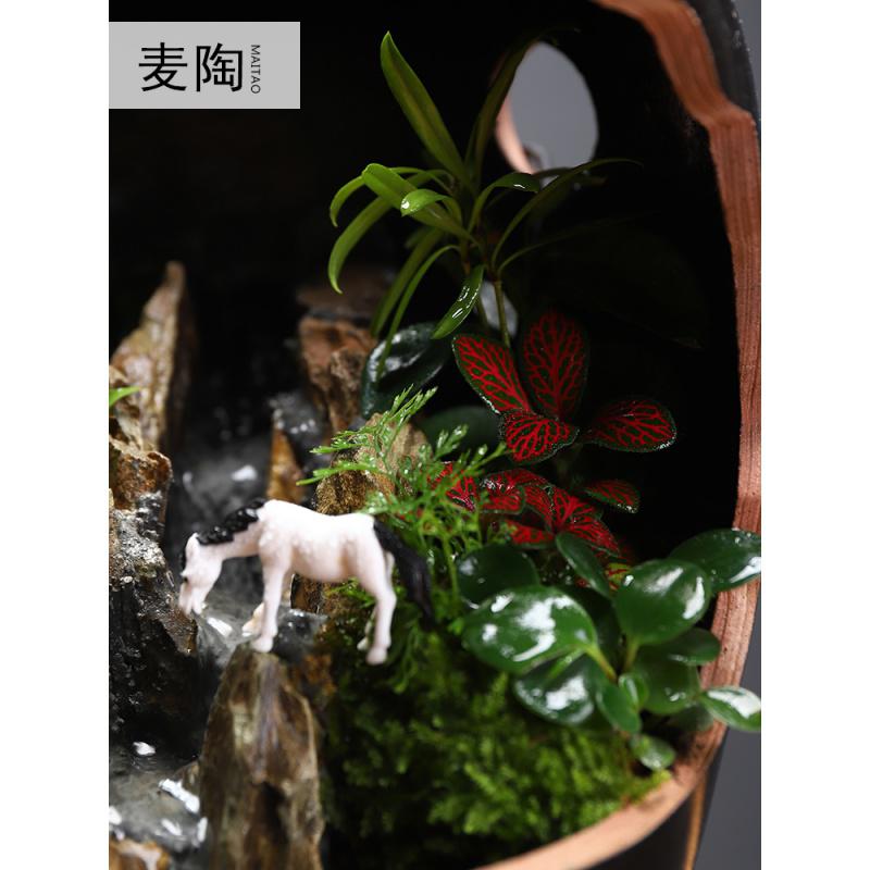 美帮汇微景观绿植陶罐假山植物造景家居客厅办公室装饰开业礼品高清大图
