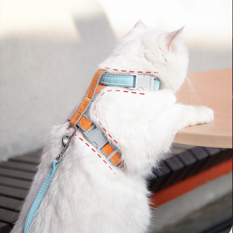 米妮宠物猫咪牵引绳可爱背心式胸背带外出溜猫绳猫链子猫咪专用