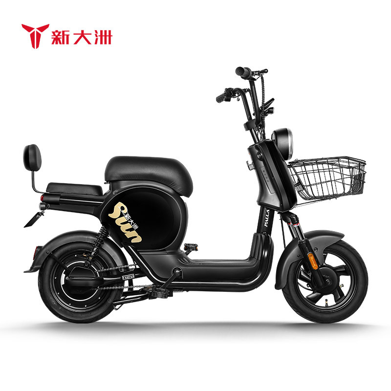 新大洲PALLA电动车 新国标48V24AH锂电池续航<80km电瓶车代步车电动自行车 K9(大客户专拍)