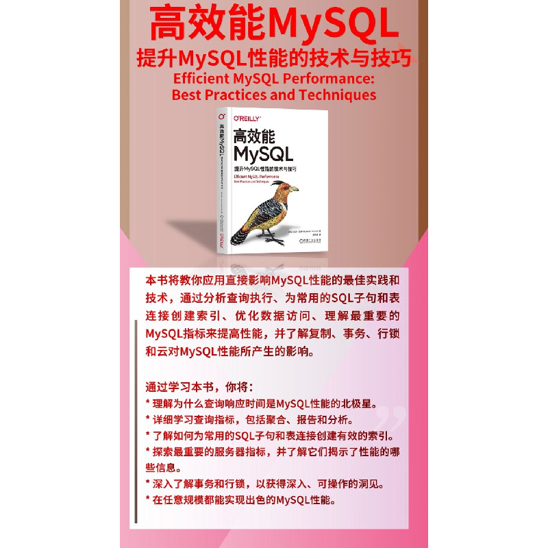 正版新书]高效能MySQL 提升MySQL性能的技术与技巧(美)丹尼尔·尼高清大图