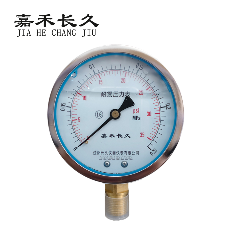嘉禾长久 耐震压力表检测型 YTN100 0-0.25Mpa 块高清大图
