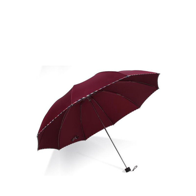 天堂伞 双层加固晴雨伞 307E DT