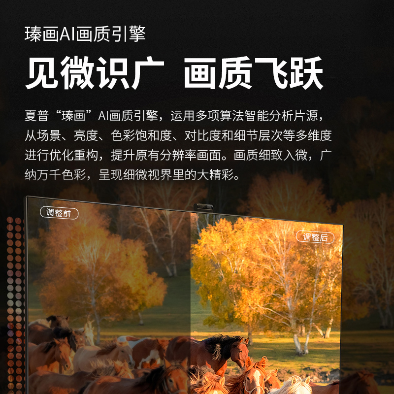 夏普 4T-M75U5EA/75U6EA 75英寸4K全面屏智能光控3+32G运动补偿智能自升降摄像头智能网络电视