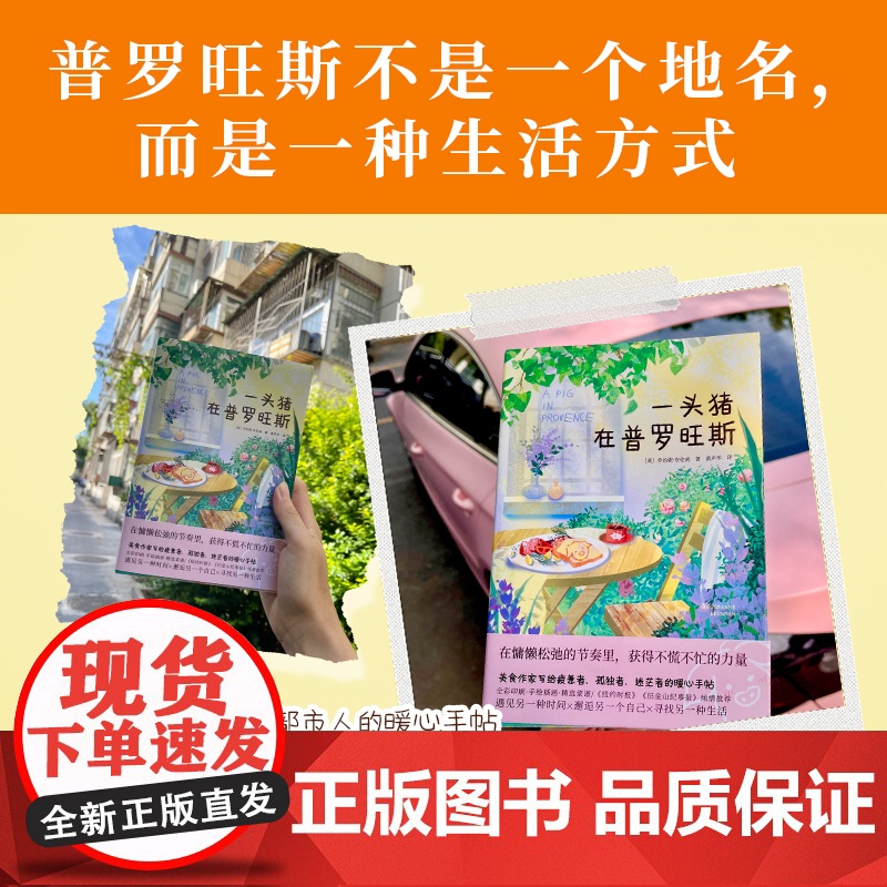 一头猪在普罗旺斯 全彩手绘插画×精选菜谱 一本让人暂离喧嚣告别内耗的自救指南 外国文学散文随笔北京联合出版公司高清大图