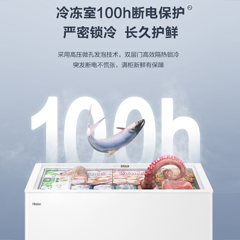 海尔(Haier)300升家用卧式冰柜 冷柜 减霜80% BC/BD-300GHD[02]