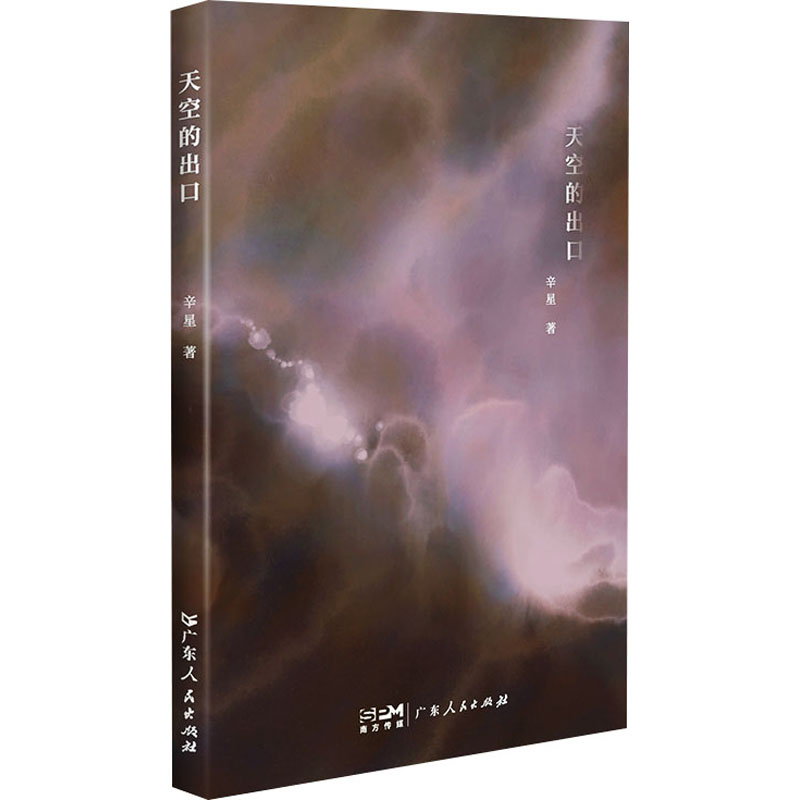 [M]天空的出口-9787218170831高清大图