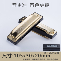 乐带劲10孔C调蓝调口琴 儿童初学者布鲁斯口风琴成人入门乐器教学生练习演奏十孔中小学生音乐课