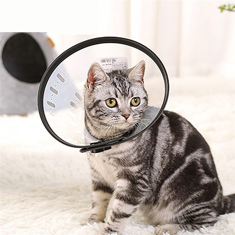 定制宠物保护罩脖圈猫咪套头罩防咬防舔