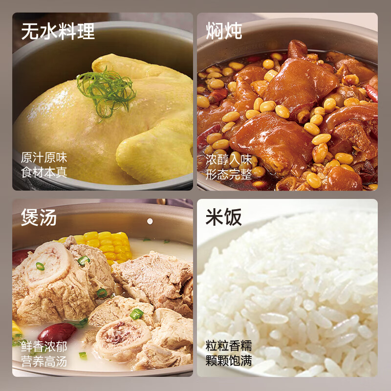 康巴赫(KBH)康巴赫纯钛高压料理锅-Pro-5L(钛金色)高清大图