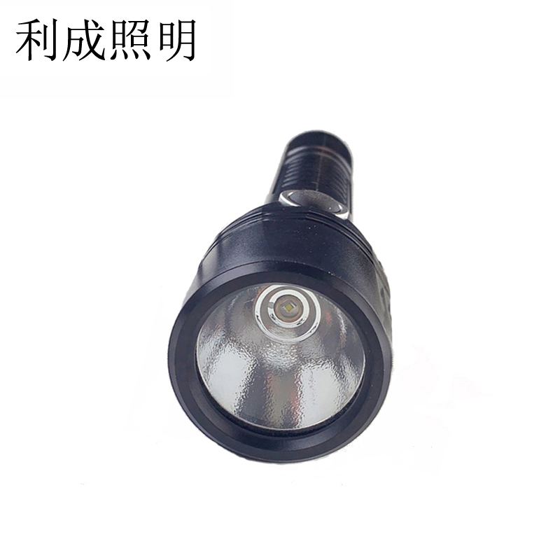 利成照明 照明手电 CD-4E13高清大图