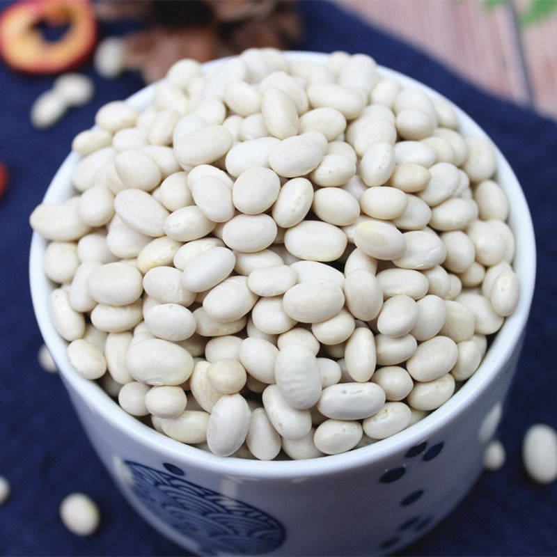 1斤珍珠小白豆 小白豆珍珠豆5斤云南农家自种小白芸豆炖菜煲汤打豆浆
