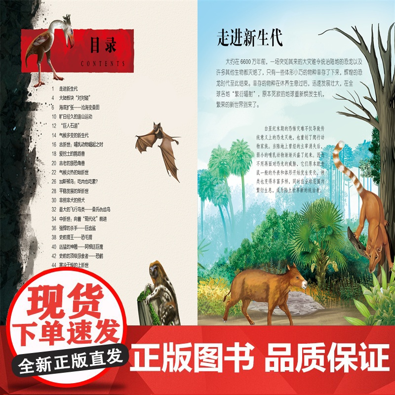生命简史(穿越地球46亿年9古近纪-第四纪) 6-12-15岁儿童中小学生青少年科普读物 宇宙起源地球形成生命诞生史前世高清大图