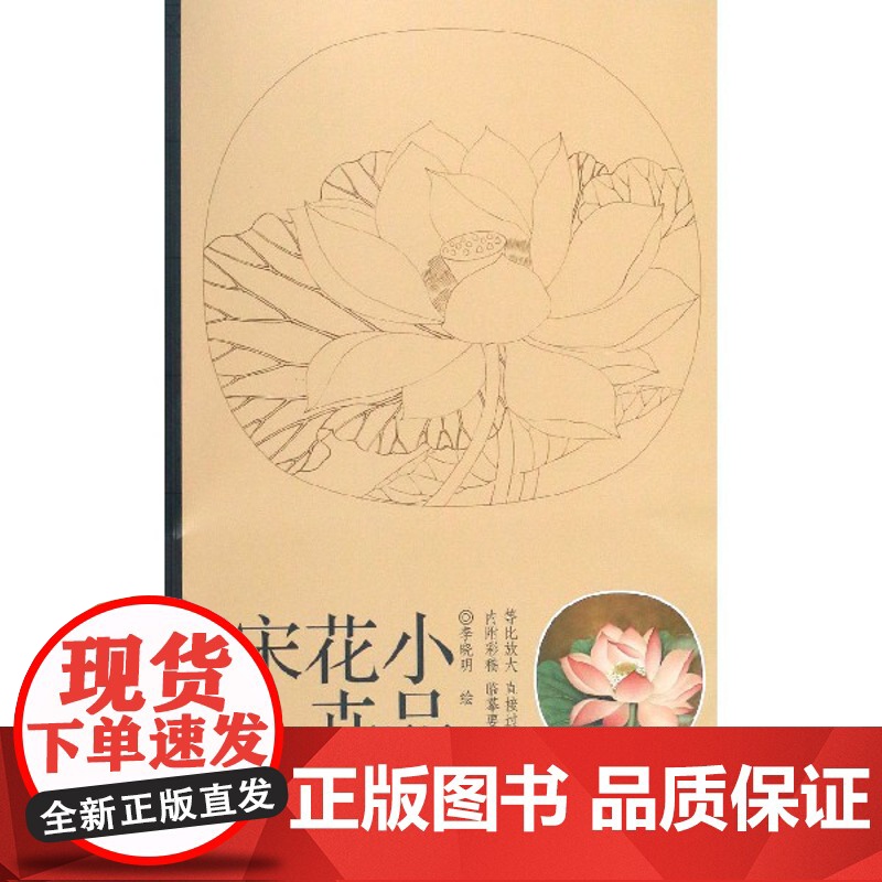 宋人花卉小品 实用白描画稿原大版 李晓明绘 12幅花卉工笔画白描底稿 国画工笔荷花梅兰竹菊线描白描临摹高清大图