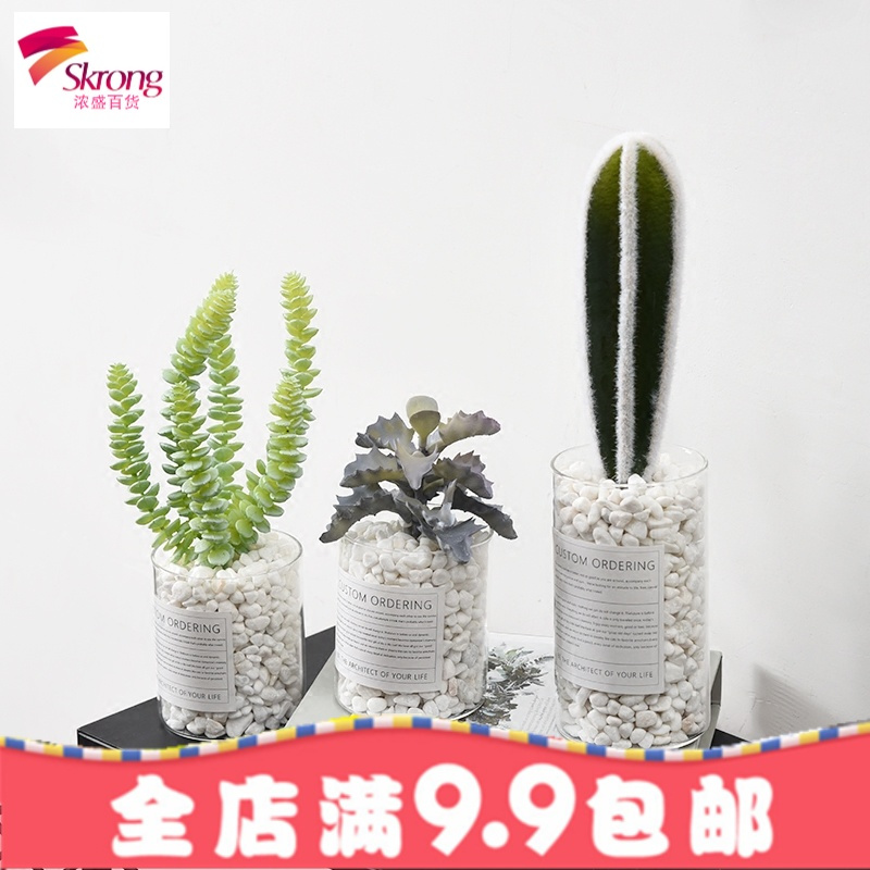北欧盆栽ins风仿真植物假多肉小盆景客厅装饰室内摆设仙人掌摆件
