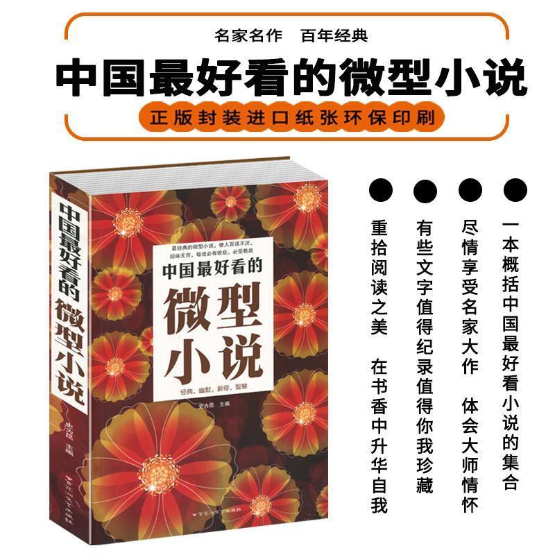 中国最好看的微型小说 世界微型小说短篇小说选刊杂志系列图书籍 中国最好看的微型小说