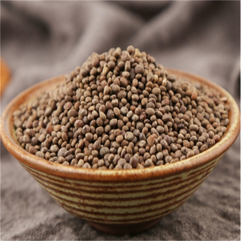 急性子500克 凤仙花子 指甲花籽 正品新货精选 急性籽高清大图