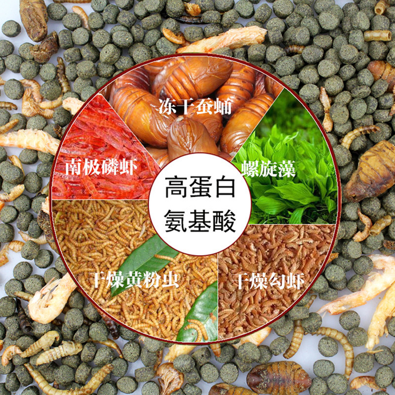 混合虾干面包虫鱼食增色观赏鱼金鱼饲料龙鱼南极虾不浑水鱼粮高清大图