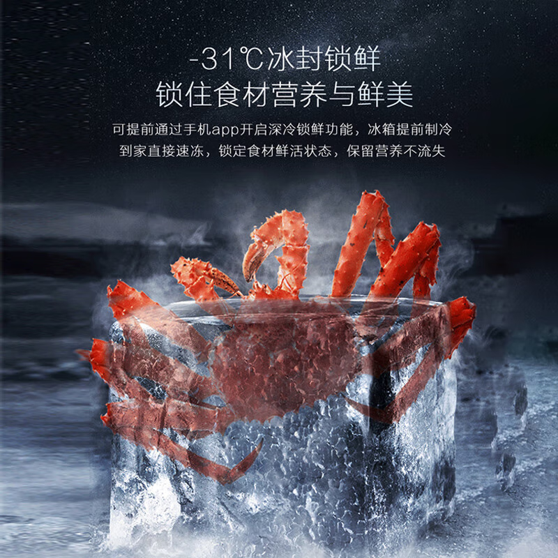 容声BCD-506WKK1FPGZA灰 双净pro·平嵌506升十字对开四开门薄嵌冰箱一级变频底部散热