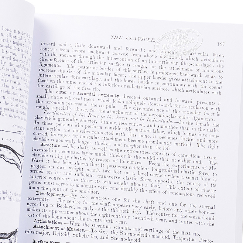 [正版]格氏解剖学 英文原版 Gray’s Anatomy Henry Gray中商原版高清大图