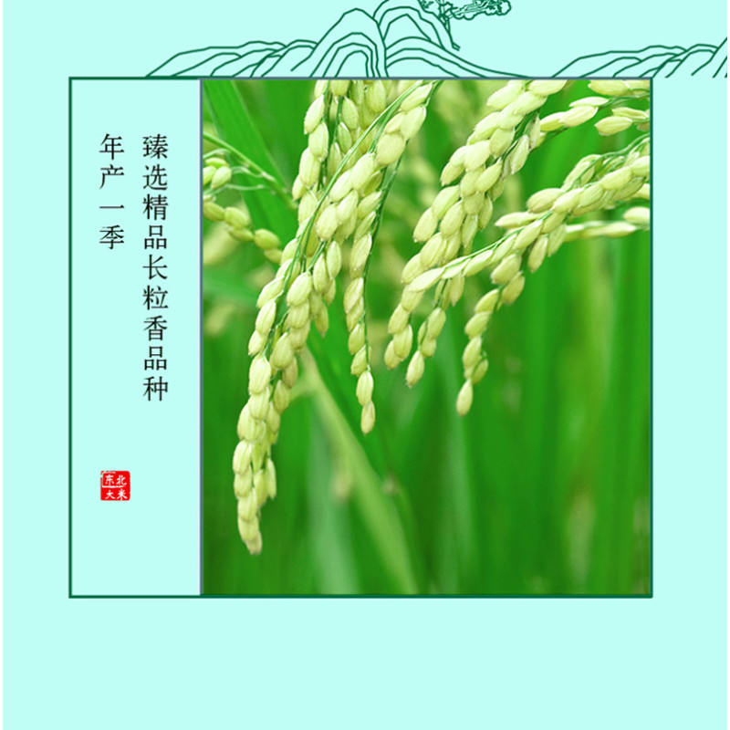 金龙鱼 长粒香大米 东北大米 臻选长粒香大米2.5kg