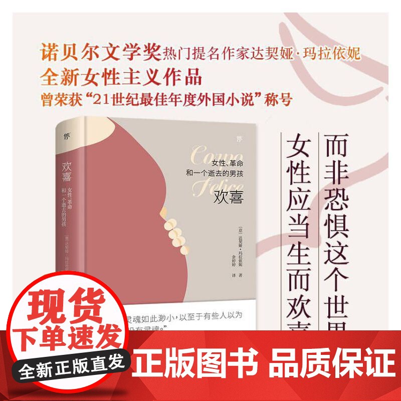 欢喜 女性革命和一个逝去的男孩 达契娅玛拉依妮诺贝尔文学奖热门提名作家 女性主义作品高清大图