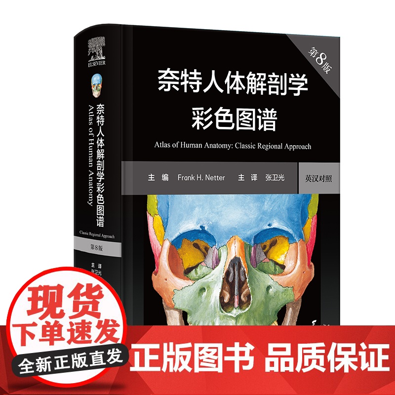 奈特人体解剖学图谱 第8八版人卫彩色局部耐特系统格氏骨骼结构神经临床基础教材生理外科内科法医解刨解破医学类医学书籍解剖图